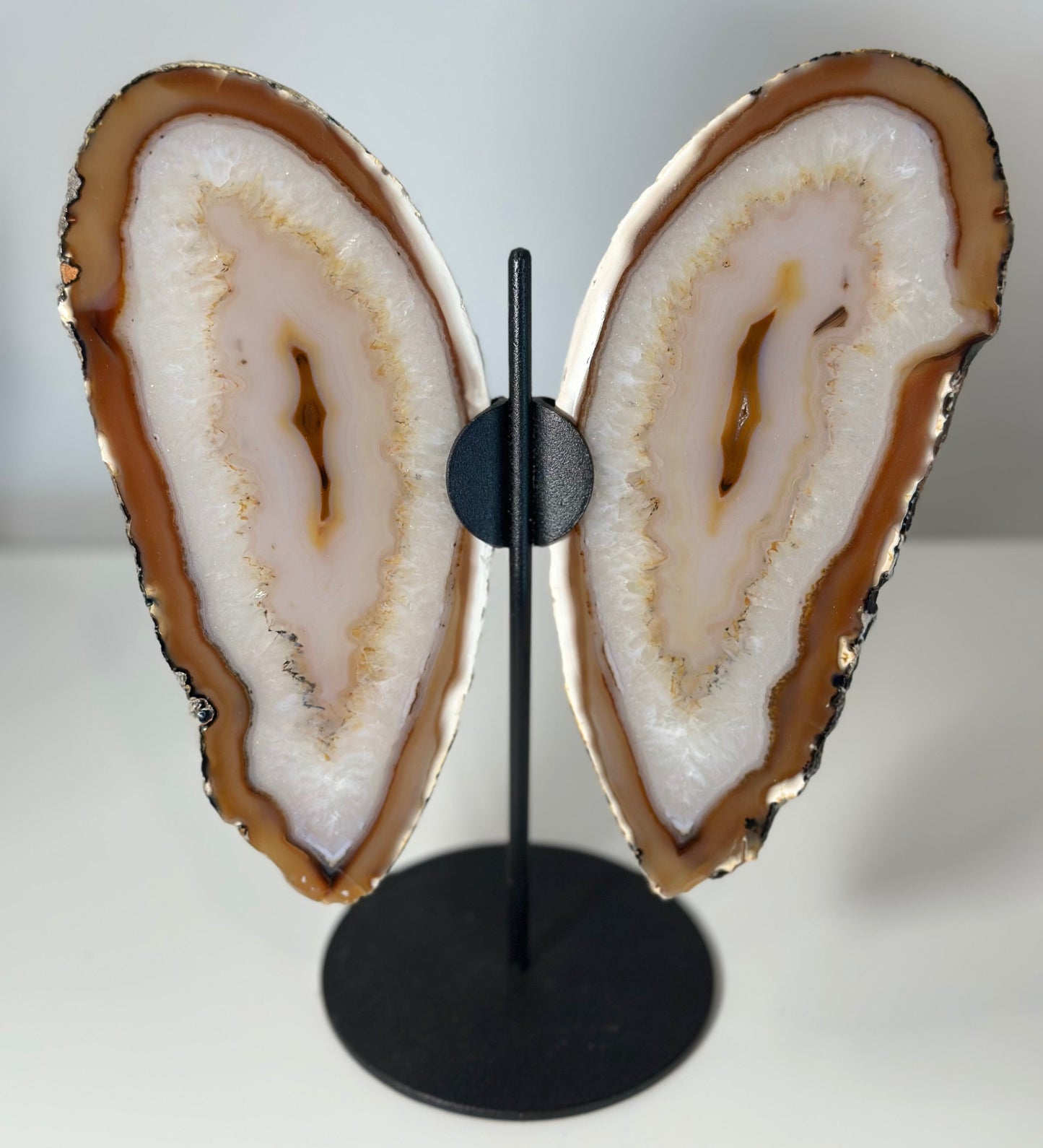 Agate Butterfly Display