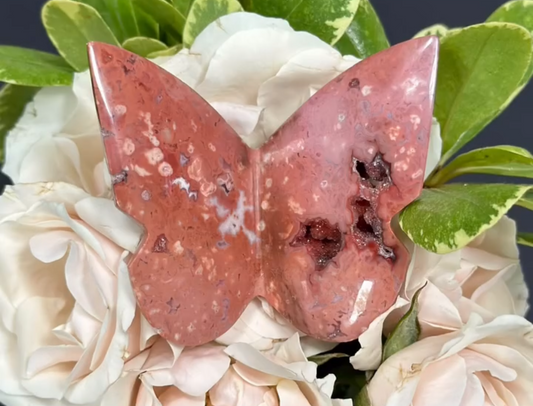 Carnelian Agate Butterfly