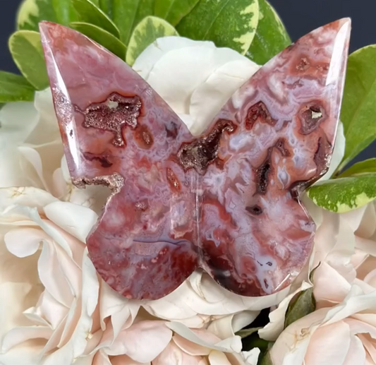 Carnelian Agate Butterfly