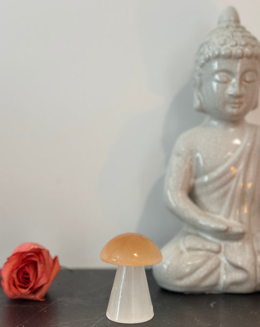 Orange Selenite Mushroom