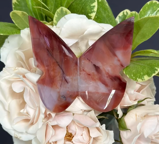 Carnelian Agate Butterfly
