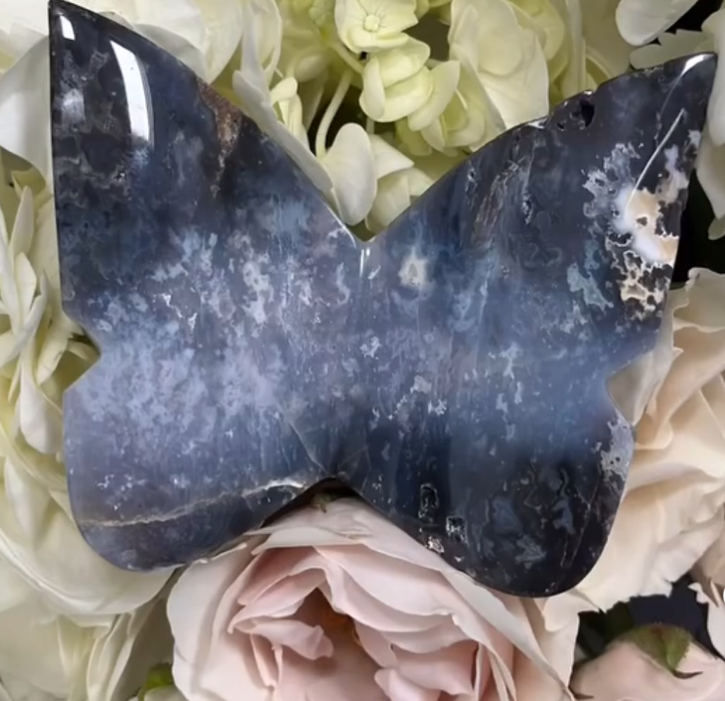 Blue Pacific Agate Butterfly