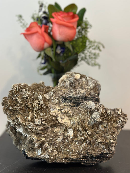 Large Mica Flower Formation with Tourmaline Inclusions