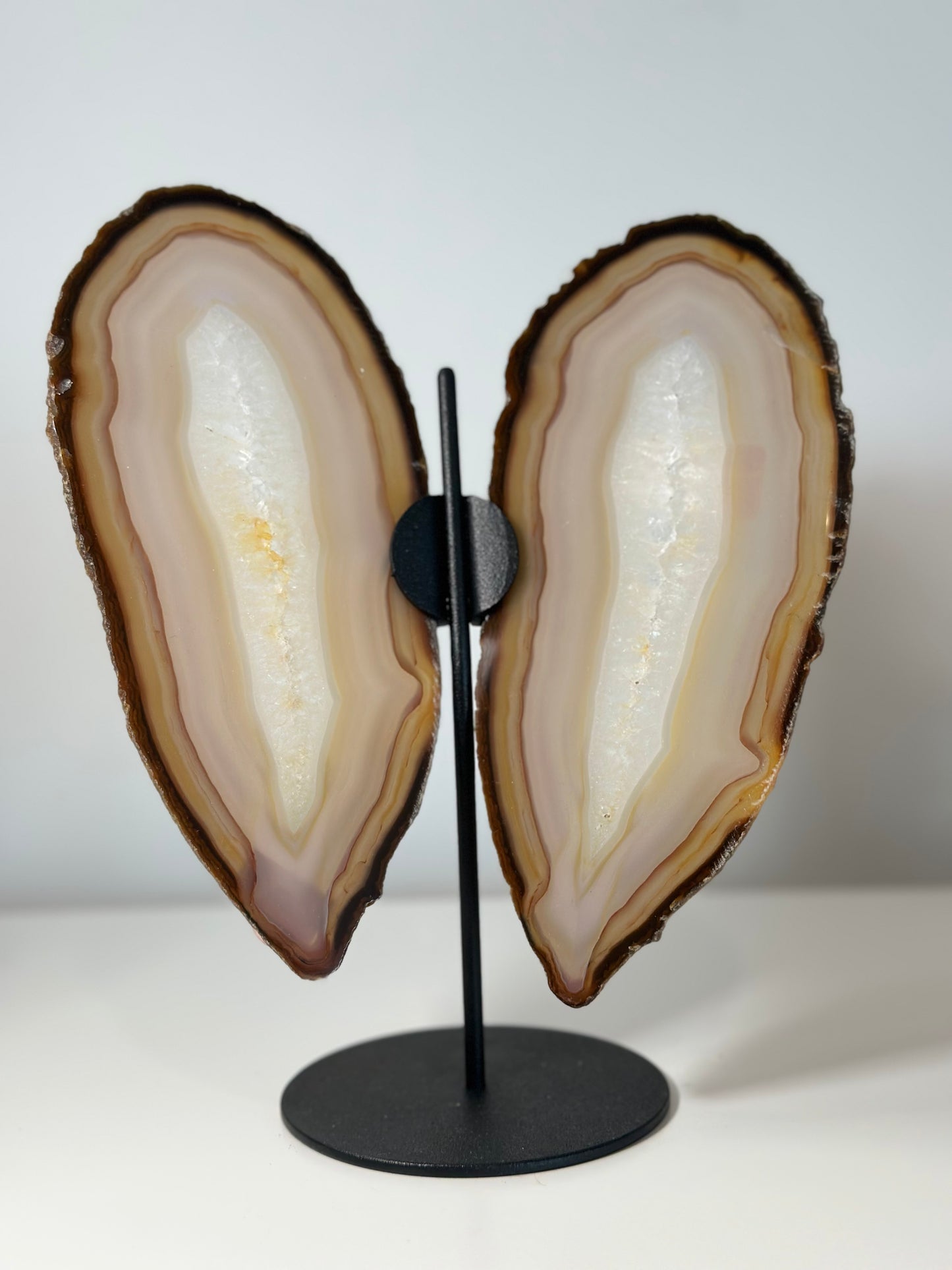 Agate Butterfly Display
