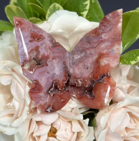 Carnelian Agate Butterfly