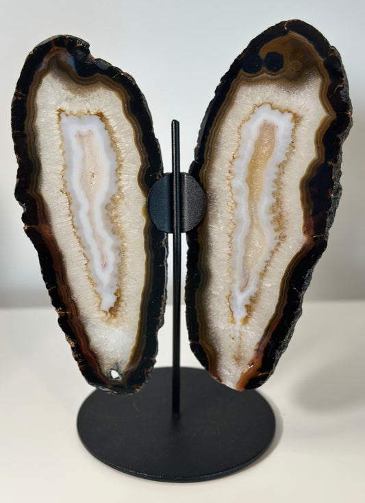 Agate Butterfly Display