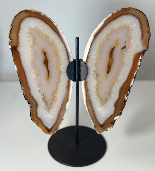 Agate Butterfly Display